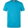 color:turquoise