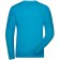 color:turquoise