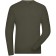 color:olive