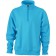 color:turquoise